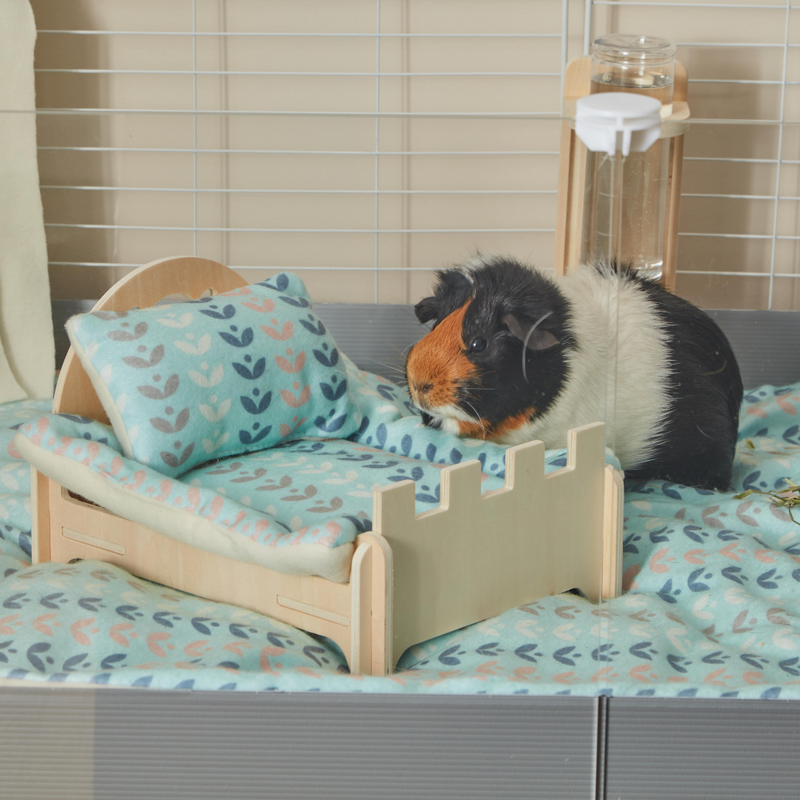 tri coloured guinea pig next to kavee c and c wooden bed with scandi abstract peepad and pillows