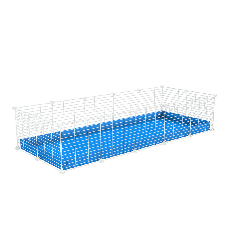 A cheap 5x2 C&C cage for guinea pig with blue coroplast and baby proof white grids from brand kavee