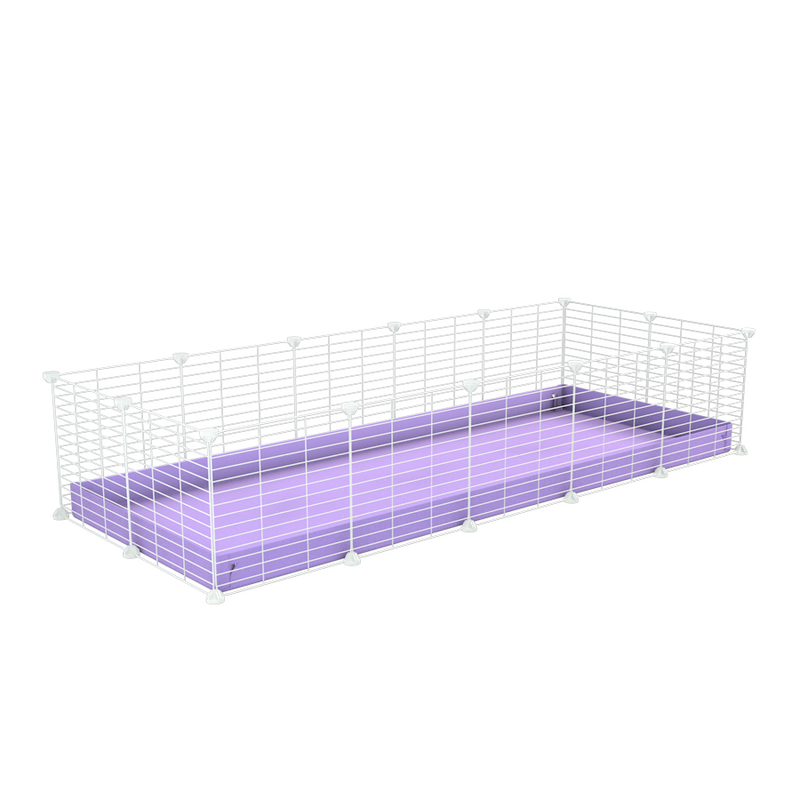 A cheap 5x2 C&C cage for guinea pig with purple lilac pastel coroplast and baby proof white grids from brand kavee