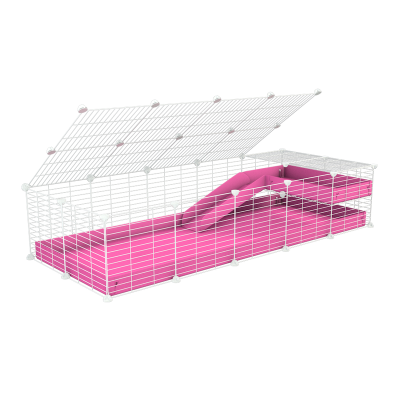 a 2x5 C and C guinea pig cage with loft ramp lid small hole size white grids pink coroplast kavee