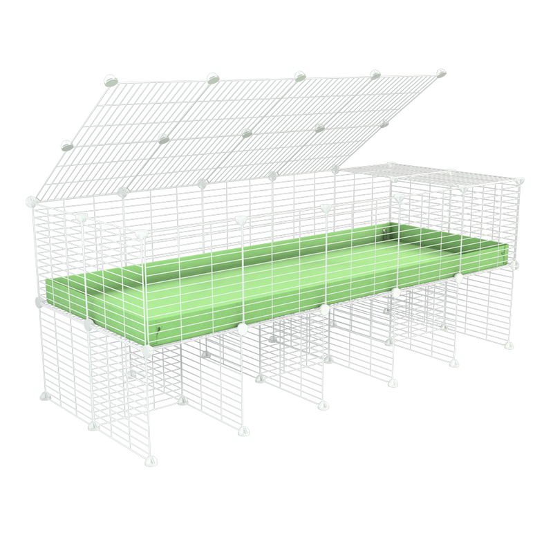 a 5x2 C&C cage for guinea pigs with a stand and a top green pastel pistachio plastic baby safe white grids by kavee