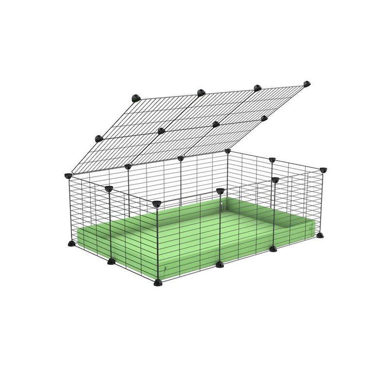 A 2x3 C and C cage for guinea pigs with green pastel pistachio coroplast a lid and small hole grids from brand kavee