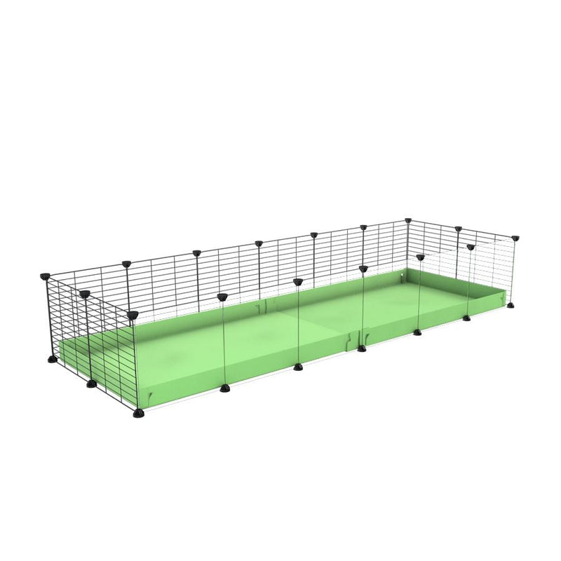 A cheap 6x2 C&C cage with clear transparent perspex acrylic windows  for guinea pig with green pastel pistachio coroplast and baby grids from brand kavee