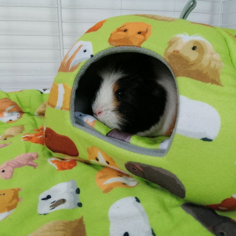 a guinea pig using a hidey house made of green guinea pig fabric fleece by kavee