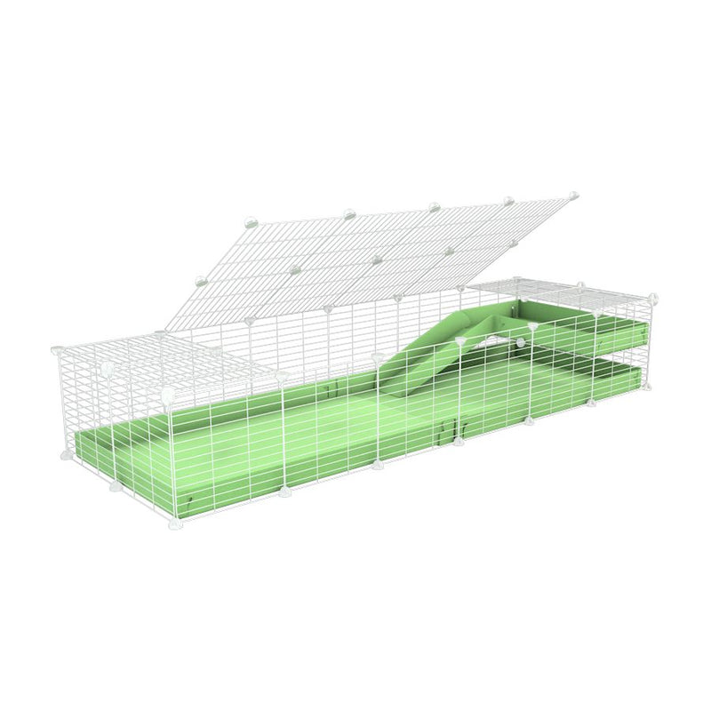 a 2x6 C and C guinea pig cage with loft ramp lid small hole size white grids green pastel pistachio coroplast kavee