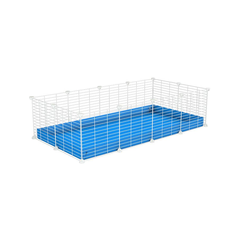 A cheap 4x2 C&C cage for guinea pig with blue coroplast and baby proof white C&C grids from brand kavee