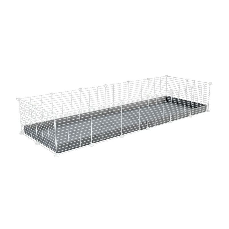 A cheap 6x2 C&C cage for guinea pig with grey coroplast and baby proof white grids from brand kavee