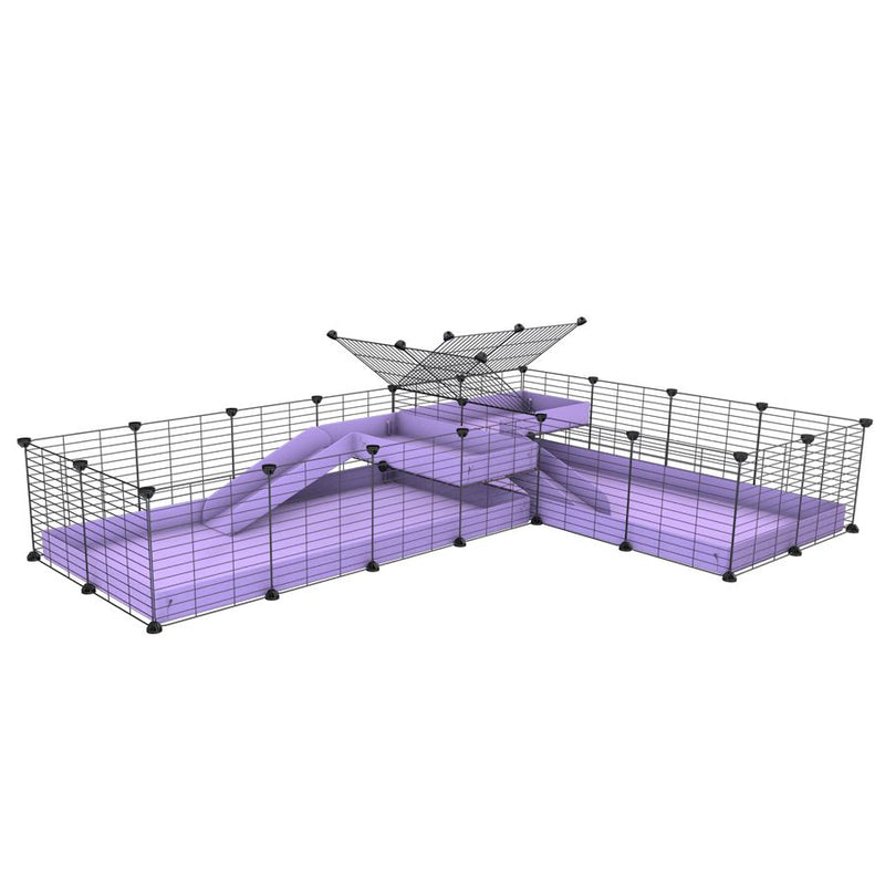 A 8x2 L-shape C&C cage with divider and loft ramp for guinea pig fighting or quarantine with lilac coroplast from brand kavee