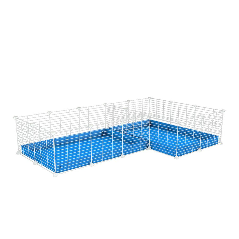 A 6x2 L-shape white C&C cage with divider for guinea pig fighting or quarantine with blue coroplast from brand kavee
