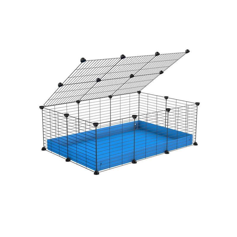A 2x3 C and C cage for guinea pigs with blue coroplast a lid and small hole grids from brand kavee