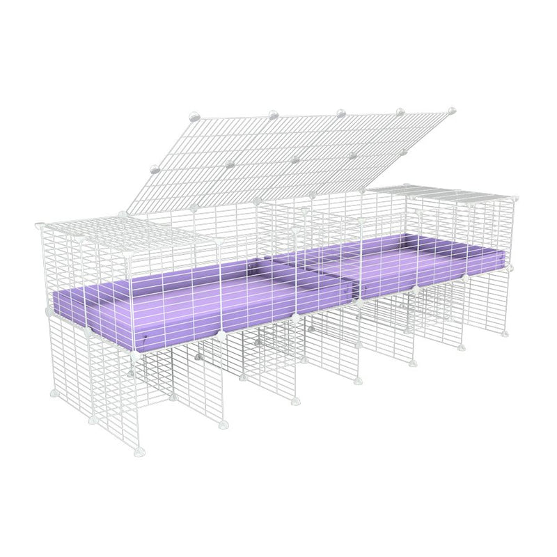 A 6x2 white C&C cage with lid divider stand for guinea pig fighting or quarantine with lilac coroplast from brand kavee